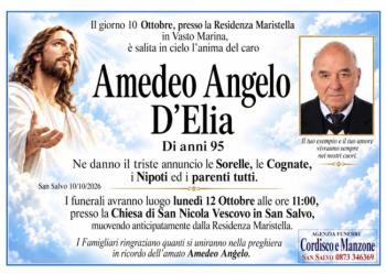 amedeo-angelo.jpeg
